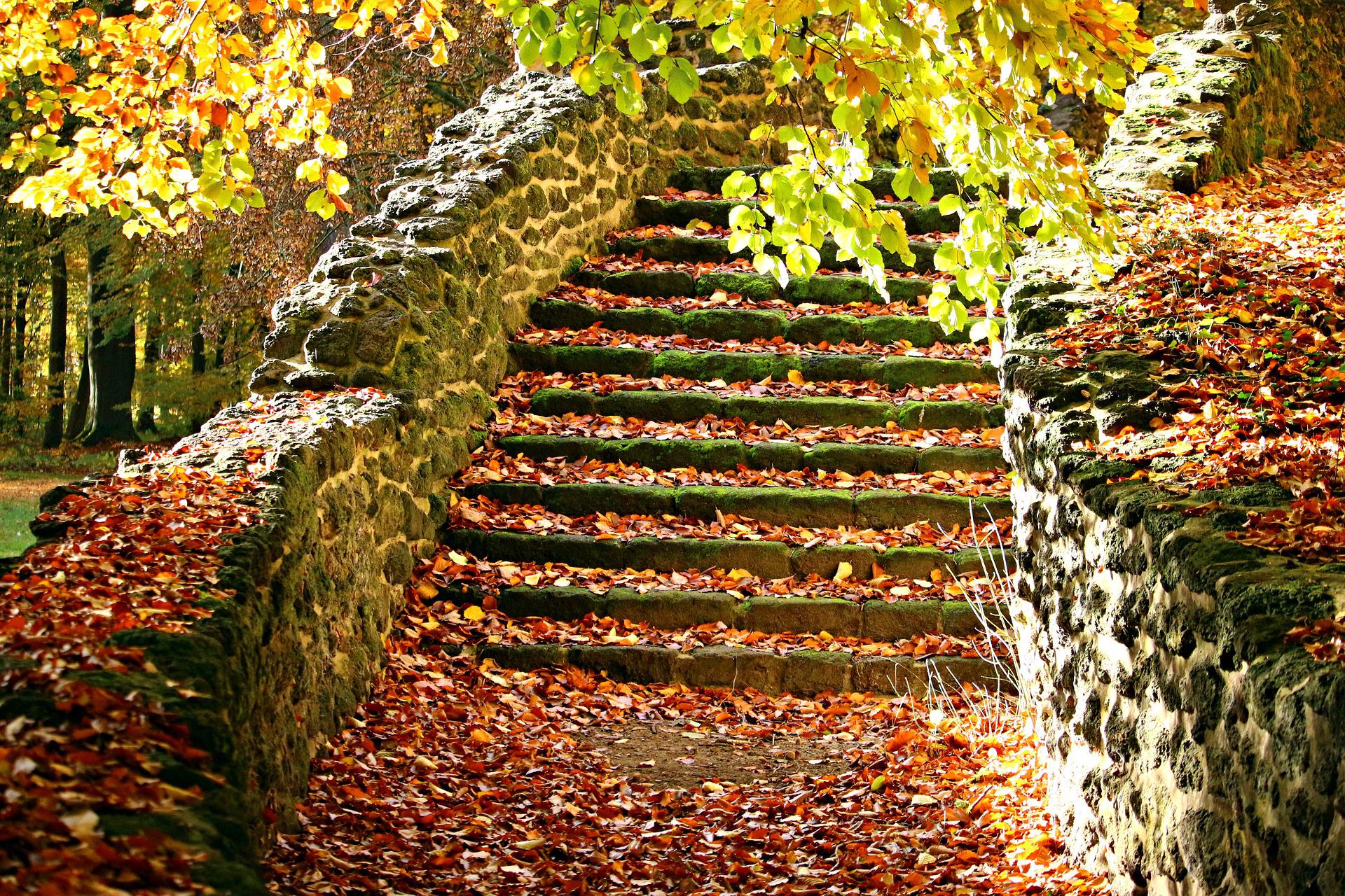 Château des Chenêts