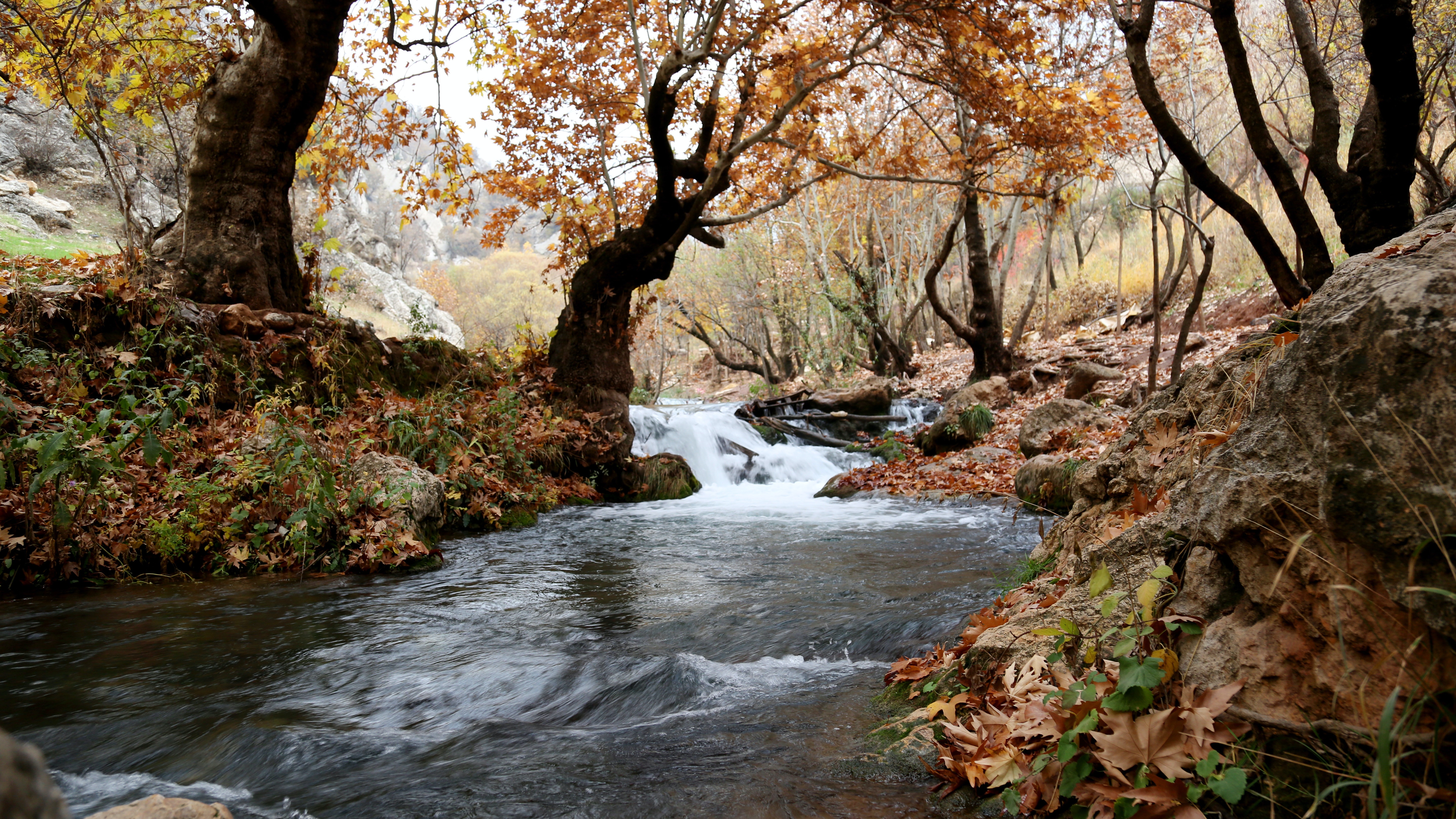 Site Naturel : Le ruisseau de Bouessay