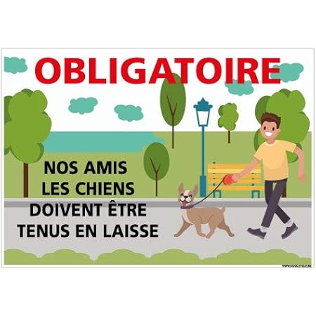 Chien tenu en laisse
