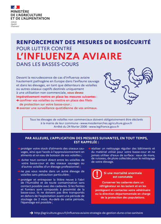 influenza aviaire