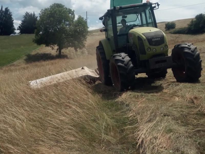 Appel d'offre: mise à disposition de terrains communaux pour fauchage et réalisation de foin.