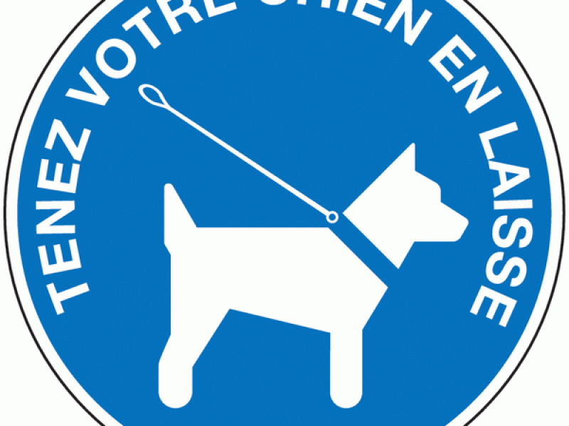 Rappel arrêté municipal du 11 juillet 2024