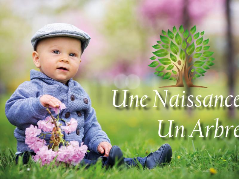 Plantation d'arbres de naissances 2024 à Bouessay